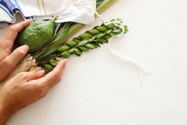 Sukkot Yahudi festivali. Geleneksel semboller (Dört tür