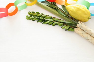 Sukkot Yahudi festivali din görüntüsü. Geleneksel semboller (Dört tür): Etrog, lulav, hadas, arava