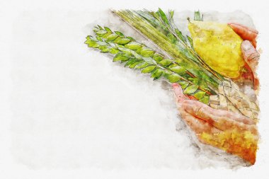 suluboya stil ve soyut resim Sukkot Yahudi festival. Geleneksel Semboller (dört tür): Etrog, lulav, hadas, arava