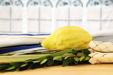 Sukkot Yahudi bayramı. Geleneksel Semboller (dört tür): Etrog, lulav, hadas, arava