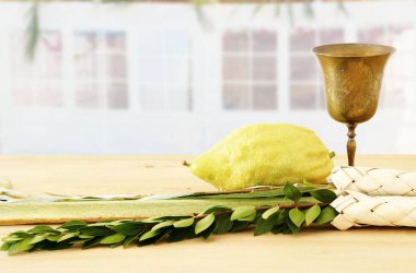 Sukkot Yahudi bayramı. Geleneksel Semboller (dört tür): Etrog, lulav, hadas, arava