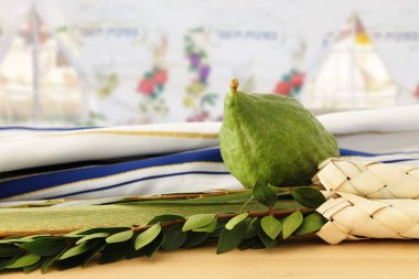Sukkot Yahudi bayramı. Geleneksel Semboller (dört tür): Etrog, lulav, hadas, arava