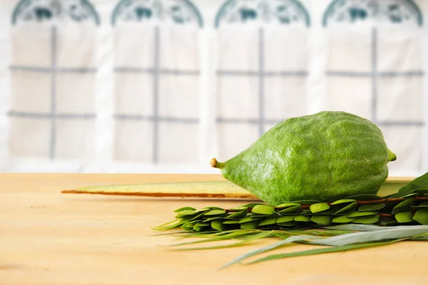 Festival judío de Sukkot. Símbolos tradicionales (Las cuatro especies): Etrog, lulav, hadas, arava —  Fotos de Stock