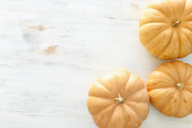 tatil Cadılar Bayramı görüntü. ahşap beyaz masa üzerinde kabaklar. üst görünüm, düz yatıyordu