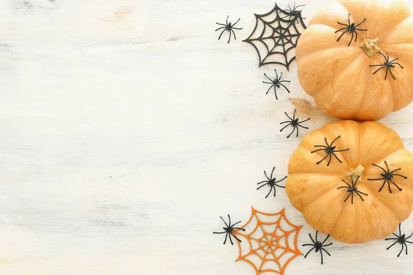 tatil Cadılar Bayramı görüntü. ahşap beyaz masa üzerinde kabak ve örümcekler. üst görünüm, düz yatıyordu