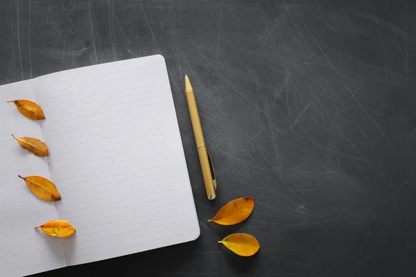 Imagen de vista superior de cuaderno abierto con páginas en blanco con hojas de otoño en pizarra. listo para añadir texto o maqueta . —  Fotos de Stock
