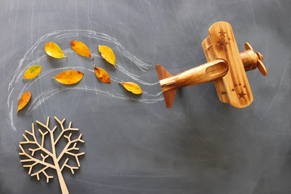 교육 개념, 낙엽이 달린 칠판에 있는 빈티지 비행기의 현수막 — 스톡 사진