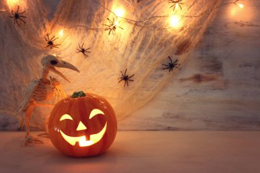 tatil cadılar bayramı konsept görüntü. Kabak, örümcekler ve ahşap masa üzerinde kuş iskeleti