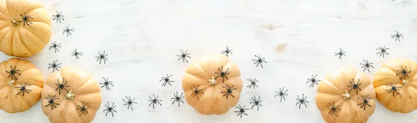 Feiertags-Halloween-Bild. Kürbis und Spinnen über einem weißen Holztisch. Draufsicht, flache Lage. Banner — Stockfoto