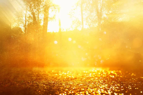 Konsept arkaplan fotoğrafı ağaçlar arasında ışık patlaması ve parıltılı altın bokeh ışıltısı — Stok fotoğraf