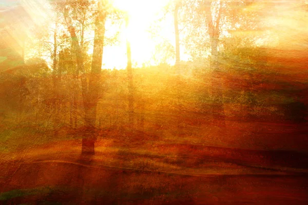 自然界における二重露光の概念です森と秋の色 — ストック写真