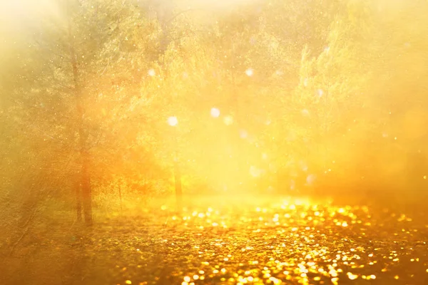 Concepto fondo foto de la luz estalló entre los árboles y el brillo de oro bokeh brilla —  Fotos de Stock