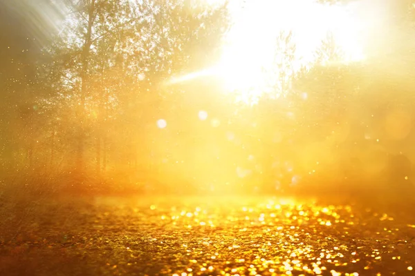 Konsept arkaplan fotoğrafı ağaçlar arasında ışık patlaması ve parıltılı altın bokeh ışıltısı — Stok fotoğraf