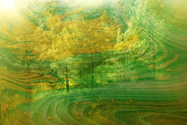 Conceito de arte de dupla exposição na natureza. floresta e cores de outono — Fotografia de Stock