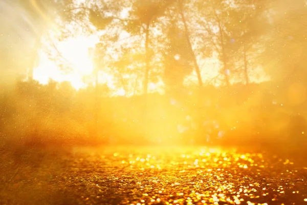 Concept background photo of light burst among trees and glitter golden bokeh sparkles — Stock Photo, Image
