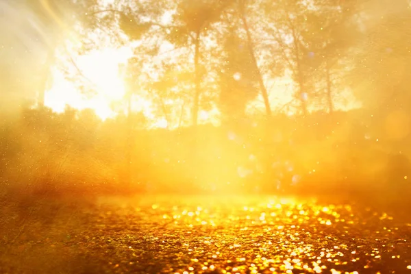 Concept photo de fond de lumière éclater parmi les arbres et paillettes bokeh doré scintille — Photo