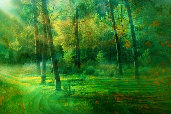 Concepto artístico de doble exposición en la naturaleza. bosque y caída de colores — Foto de Stock