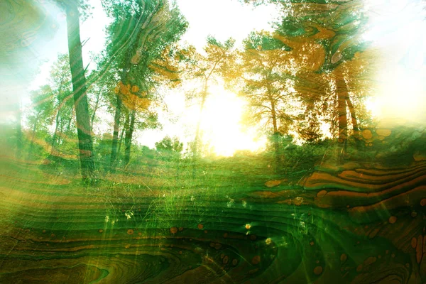 Art concept of double exposure in nature. forest and fall colors — Stock Photo, Image