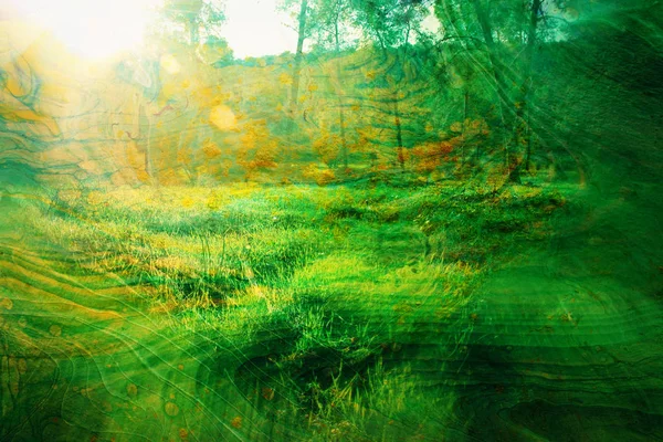 Concepto artístico de doble exposición en la naturaleza. bosque y caída de colores —  Fotos de Stock