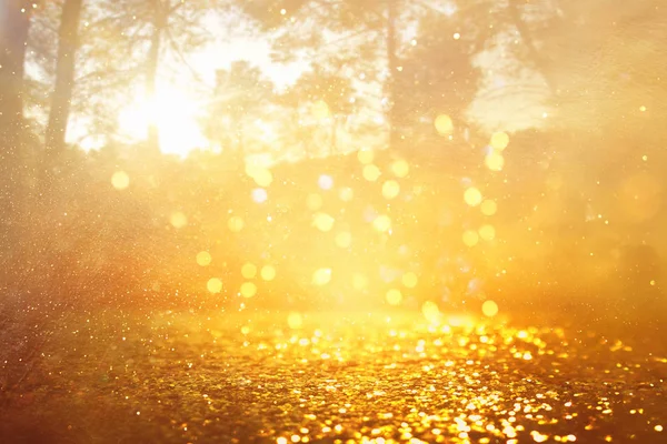 Concept background photo of light burst among trees and glitter golden bokeh sparkles — Stock Photo, Image