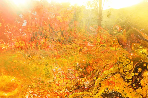 自然界における二重露光の概念です森と秋の色 — ストック写真