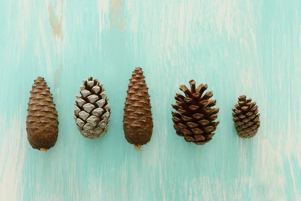 Natureza vista de fundo superior de cones de pinho na mesa de madeira azul — Fotografia de Stock