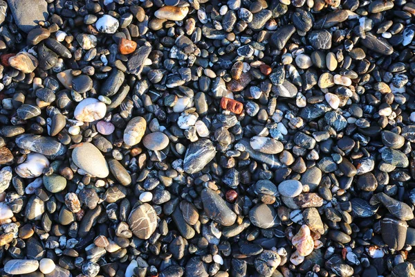 Příroda Pozadí Obraz Pláže Oblázkovými Kameny Pohled Shora — Stock fotografie
