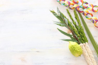 Sukkot Yahudi Festivali. Geleneksel semboller (dört tür): Etrog (citron), lulav (palmiye dalı), hadas (mersin ağacı), arava (söğüt ağacı))