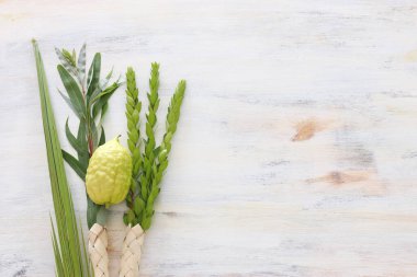 Sukkot Yahudi Festivali. Geleneksel semboller (dört tür): Etrog (citron), lulav (palmiye dalı), hadas (mersin ağacı), arava (söğüt ağacı))