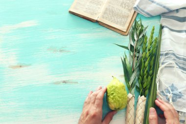 Sukkot Yahudi Festivali. Geleneksel semboller (dört tür): Etrog (citron), lulav (palmiye dalı), hadas (mersin ağacı), arava (söğüt ağacı))