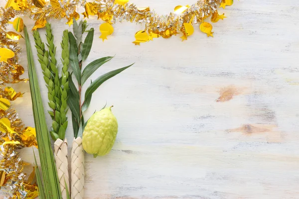 Židovský Festival Sukkotu Tradiční Symboly Čtyři Druhy Etrog Citron Lulav — Stock fotografie