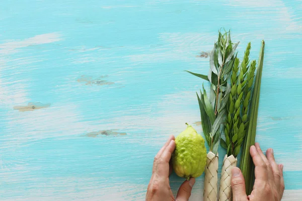 Jewish Festival Sukkot Traditional Symbols Four Species Etrog Citron Lulav — Stock Photo, Image