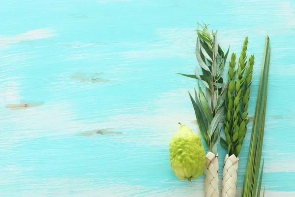 Židovský Festival Sukkotu Tradiční Symboly Čtyři Druhy Etrog Citron Lulav — Stock fotografie