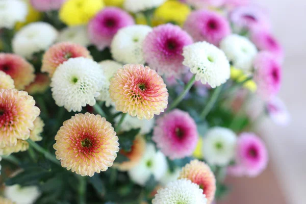 들판의 꽃들의 — 스톡 사진