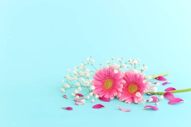 Pastel mavi arka planda pembe ve beyaz çiçeklerden oluşan bir buket