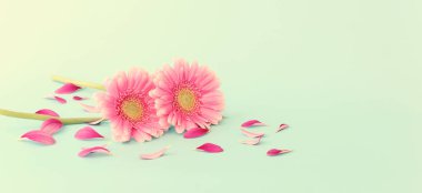 nane arkaplanının üzerinde pembe ve beyaz çiçek buketi