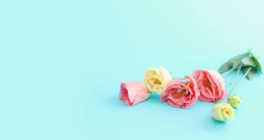 Pastel mavi arka planda pembe çiçek buketi