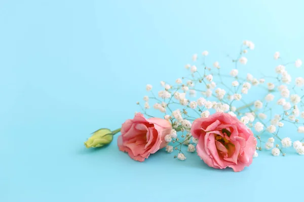 파랗고 분홍빛과 꽃다발 — 스톡 사진