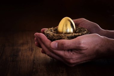 golden egg in nest. Concept of investments, savings and pensions clipart