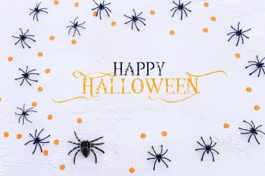 Cadılar bayramı konsepti. Beyaz ahşap arka planda örümcekler. Üst manzara, düz uzanma