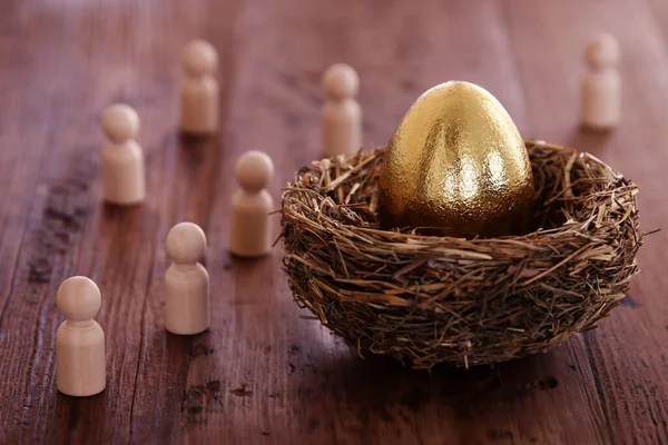 Golden Egg Nest Concept Investments Savings Pensions — Stock Photo, Image