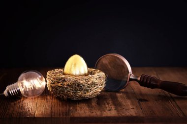 Yuvadaki altın yumurta. Yatırım, tasarruf ve emekli maaşı kavramı