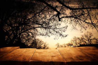 Cadılar Bayramı tatili konsepti. Korkunç ve sisli gece gökyüzü ve orman arka planının önündeki boş köy masası. Ürün görüntüleme kurgusu için hazır