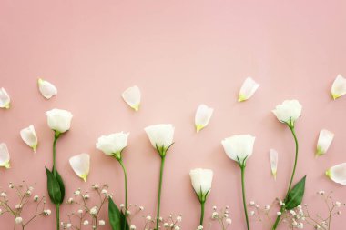 Pembe pastel arka planda beyaz çiçeklerin üst görünümü