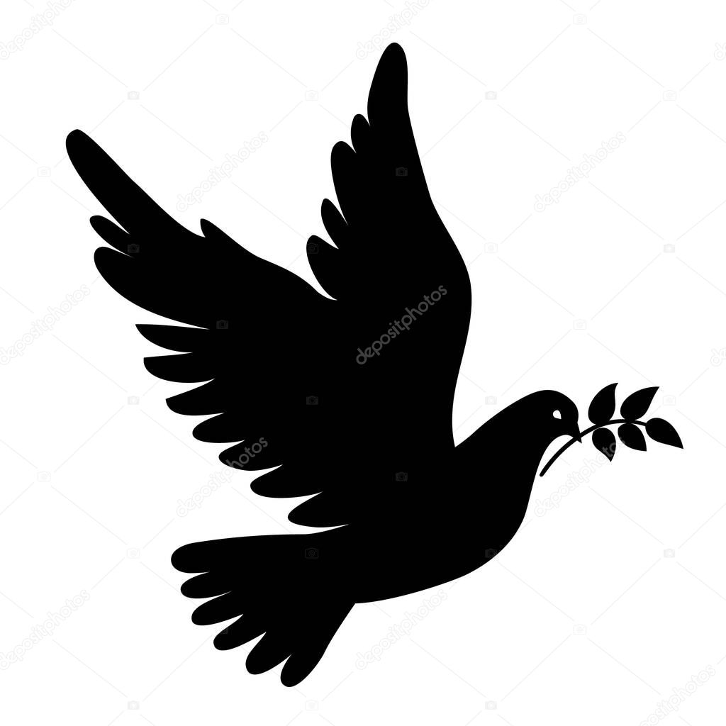 Vector flying dove with olive branch black silhouettes on white background. Peace concept. 