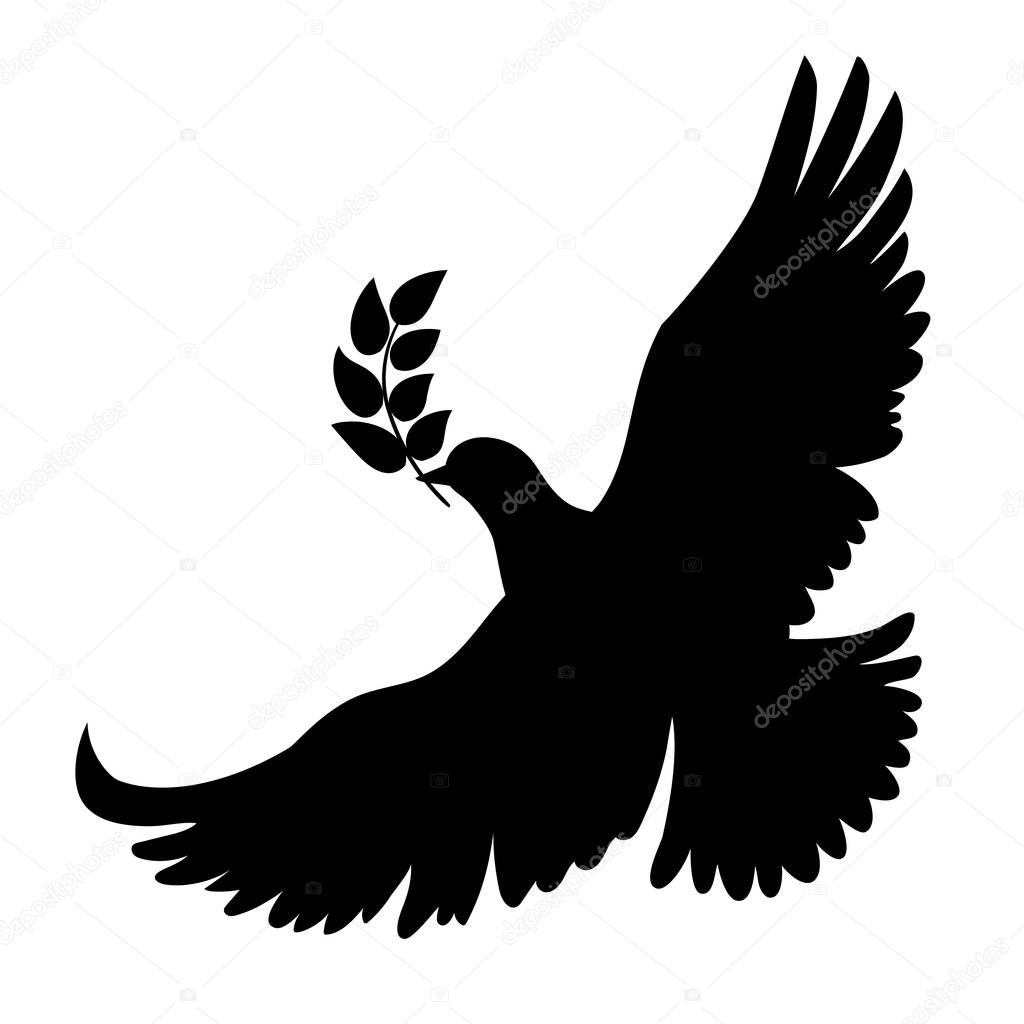 Vector flying dove with olive branch black silhouettes on white background. Peace concept.