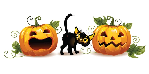 Rädd för svart katt och halloween pumpor. Horisontell banderoll. Illustration på en isolerad bakgrund. — Stock vektor