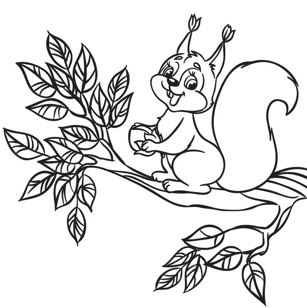 Cute cartoon squirrel with a nut sitting on branch. Outlined for coloring book. Vector Graphics