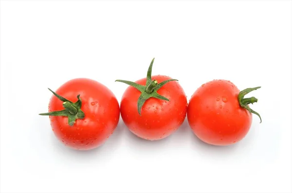 Tomaten Witte Achtergrond — Stockfoto