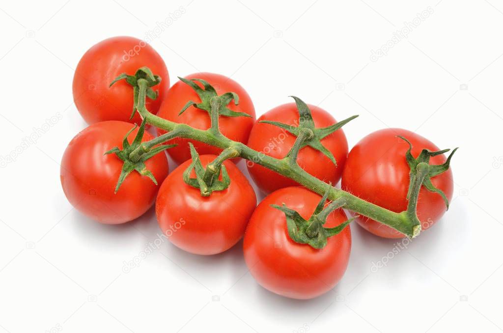  tomatoes on white background